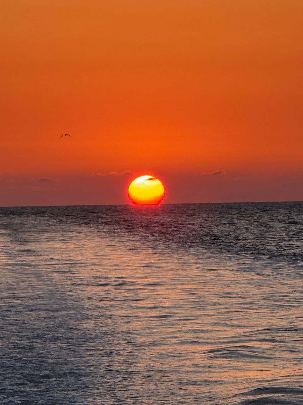 Sunset from the water